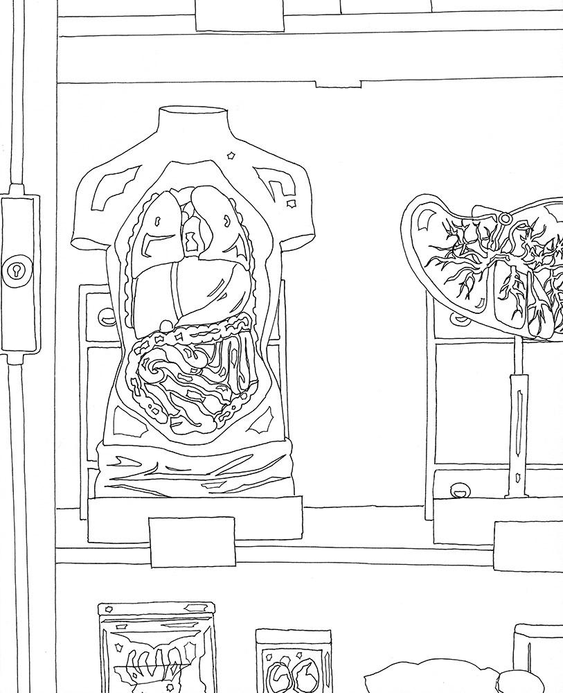 Eva Früh, artist: schaukammer, 06