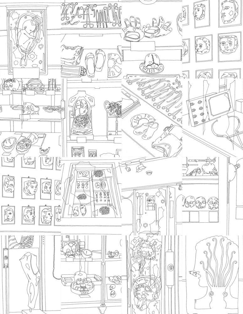 Eva Früh, artist: schaukammer, installation, auswahl aus 130 zeichnungen