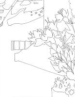 Eva Früh, artist: inside google, 02