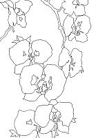 Eva Früh, artist: inner patterns, 12